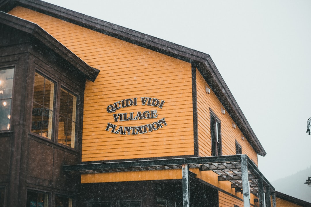 Aula 15 – Importação de Vinhos: Caso Prático Completo – Importação Real de A a Z