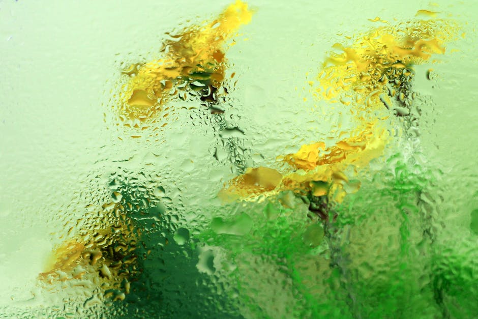 Imagem destacada da notícia de vinho