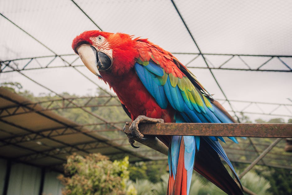 Imagem destacada da notícia de vinho