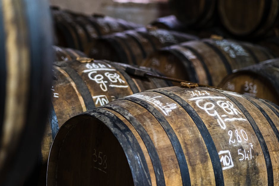 Harmonização com culinária brasileira conquista sommeliers europeus